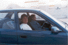 17.gif (130375 bytes)